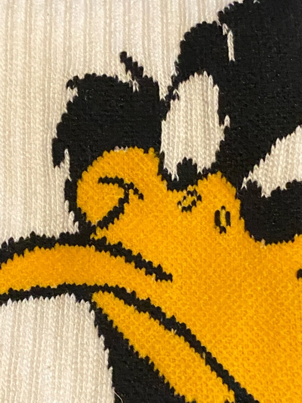 Looney Tunes men socks